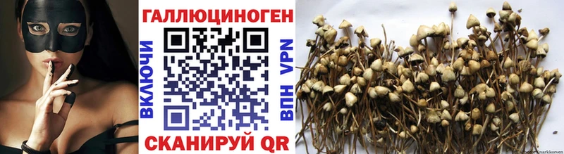 Псилоцибиновые грибы мухоморы  даркнет сайт  Белёв 